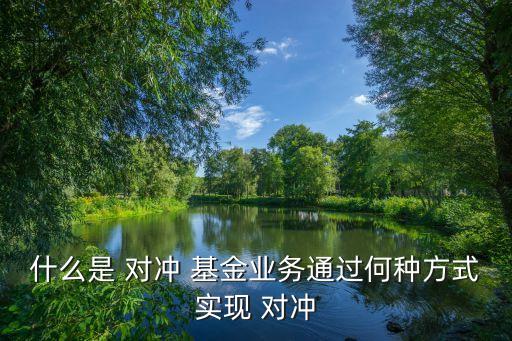 什么是 對(duì)沖 基金業(yè)務(wù)通過(guò)何種方式實(shí)現(xiàn) 對(duì)沖