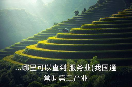 ...哪里可以查到 服務業(yè)(我國通常叫第三產(chǎn)業(yè)
