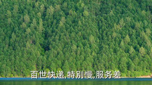 這家慢公司現在想跑快