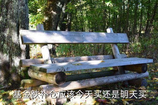跌基金什么時(shí)候買入好,004685基金什么時(shí)候可以買入