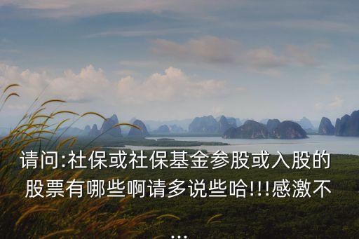 請(qǐng)問(wèn):社保或社?；饏⒐苫蛉牍傻?股票有哪些啊請(qǐng)多說(shuō)些哈!!!感激不...