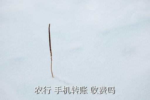 農(nóng)業(yè)銀行手機(jī)銀行轉(zhuǎn)款收費,建行手機(jī)銀行轉(zhuǎn)農(nóng)業(yè)銀行