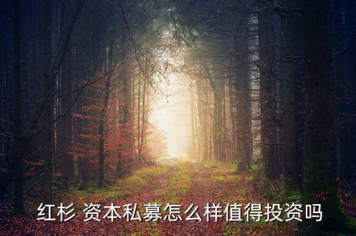 怎么買紅杉資本基金,紅杉資本基金可以個人投資嗎