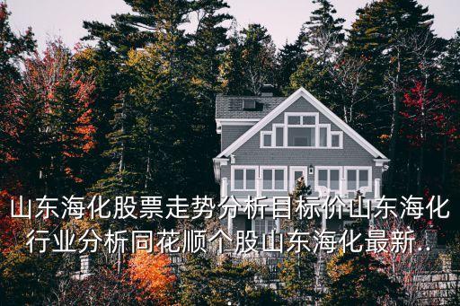 山東?；善弊邉莘治瞿繕?biāo)價山東海化行業(yè)分析同花順個股山東?；钚?..