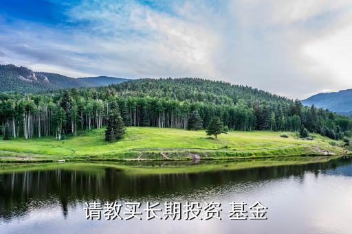 請(qǐng)教買長期投資 基金