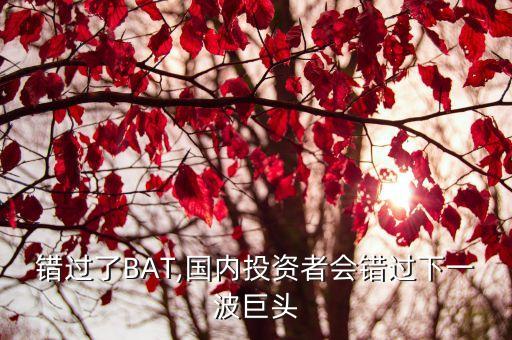 錯(cuò)過了BAT,國內(nèi)投資者會錯(cuò)過下一波巨頭
