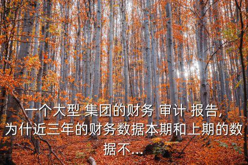 一個(gè)大型 集團(tuán)的財(cái)務(wù) 審計(jì) 報(bào)告,為什近三年的財(cái)務(wù)數(shù)據(jù)本期和上期的數(shù)據(jù)不...