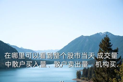 在哪里可以看到整個股市當天 成交量中散戶買入量、散戶賣出量、機構買...