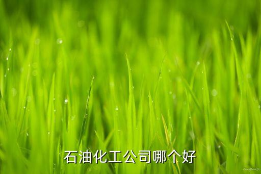 石油化工公司哪個(gè)好