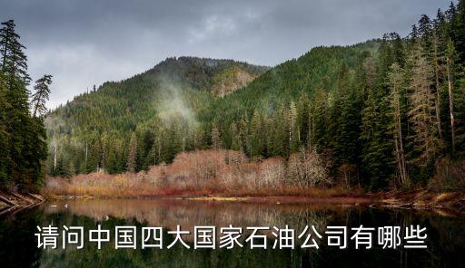 中化集團與中海油比較,中海油和中化集團哪個級別高?