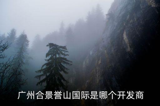  廣州合景譽(yù)山國(guó)際是哪個(gè)開(kāi)發(fā)商
