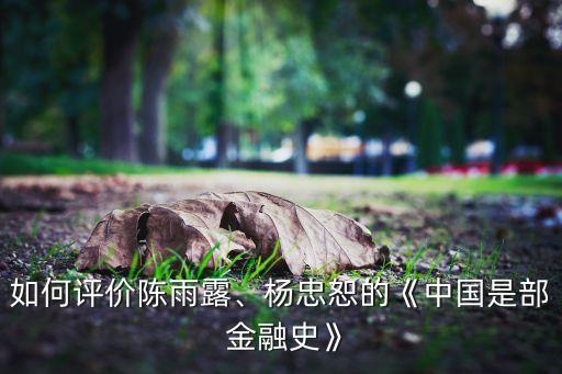 如何評價陳雨露、楊忠恕的《中國是部 金融史》