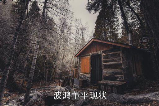 上海波鴻集團(tuán)有限公司,廣元波鴻汽車銷售服務(wù)有限公司