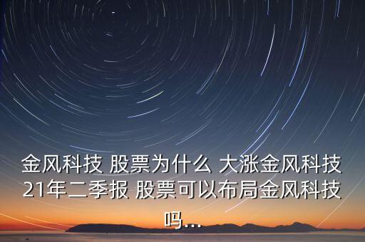 金風(fēng)科技 股票為什么 大漲金風(fēng)科技21年二季報(bào) 股票可以布局金風(fēng)科技嗎...