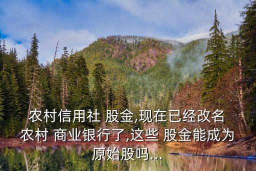  農村信用社 股金,現在已經改名 農村 商業(yè)銀行了,這些 股金能成為原始股嗎...