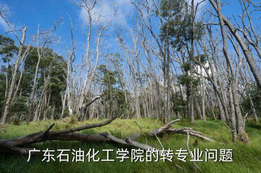 廣東石油化工學(xué)院的轉(zhuǎn)專業(yè)問(wèn)題