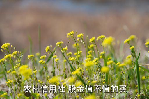  農村信用社 股金值不值的買