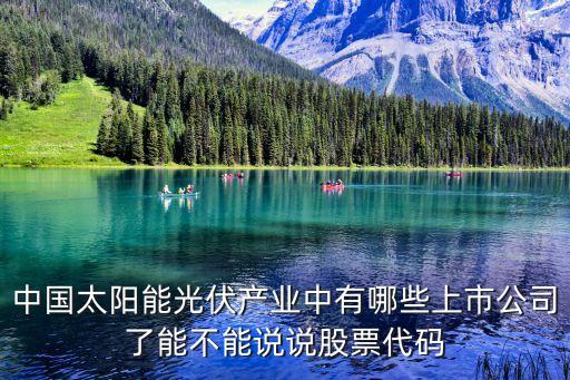 中國(guó)太陽能光伏產(chǎn)業(yè)中有哪些上市公司了能不能說說股票代碼