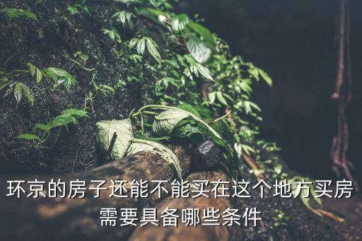 環(huán)京的房子還能不能買(mǎi)在這個(gè)地方買(mǎi)房需要具備哪些條件