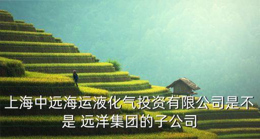 遠洋地產和中國遠洋,中國遠洋海運集團和遠洋地產