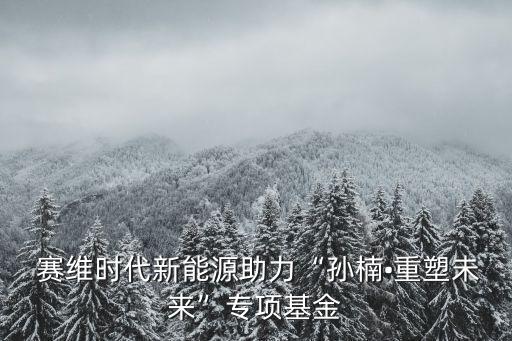  賽維時(shí)代新能源助力“孫楠?重塑未來(lái)”專(zhuān)項(xiàng)基金