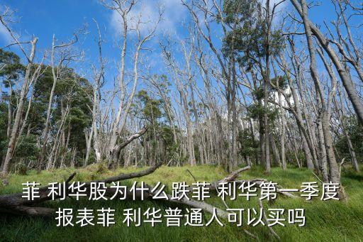 湖北菲利華石英玻璃股份有限公司招股說(shuō)明書,潛江菲利華石英玻璃股份有限公司