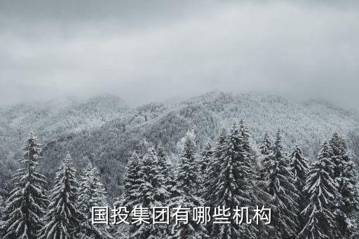  國投集團有哪些機構
