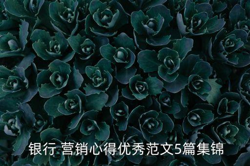  銀行 營(yíng)銷心得優(yōu)秀范文5篇集錦