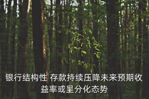 銀行結(jié)構(gòu)性 存款持續(xù)壓降未來(lái)預(yù)期收益率或呈分化態(tài)勢(shì)