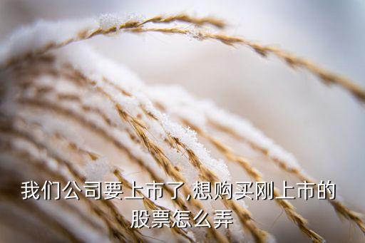 我們公司要上市了,想購(gòu)買(mǎi)剛上市的 股票怎么弄
