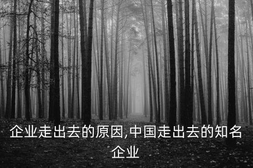 中國(guó)企業(yè)走出去的原因,中國(guó)走出去的知名企業(yè)