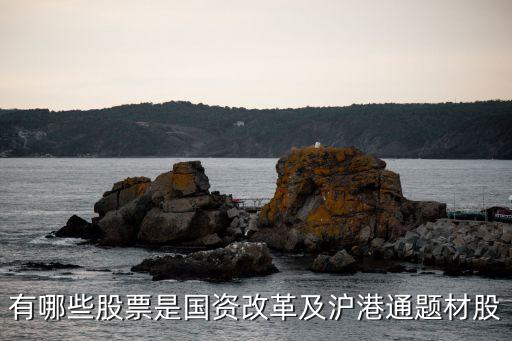 有哪些股票是國(guó)資改革及滬港通題材股