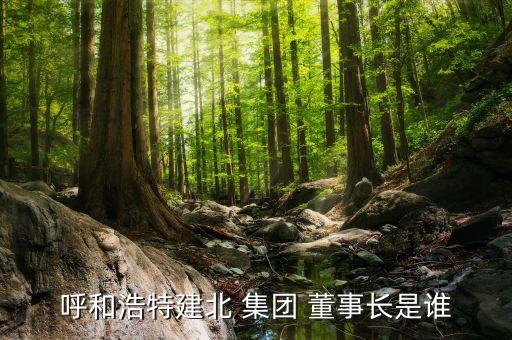 銀座集團(tuán)董事長,山東銀座集團(tuán)董事長
