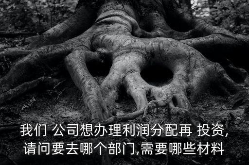 我們 公司想辦理利潤(rùn)分配再 投資,請(qǐng)問要去哪個(gè)部門,需要哪些材料