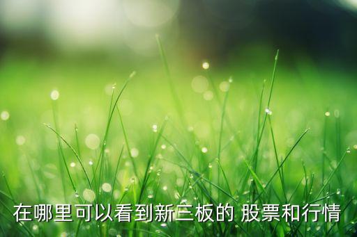 萬德數(shù)據(jù)庫輸入股票代碼