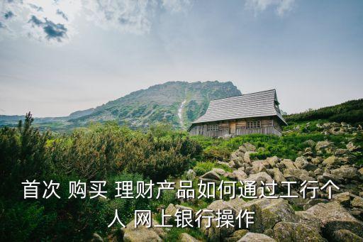 工商銀行網(wǎng)上理財(cái)產(chǎn)品購(gòu)買(mǎi)流程