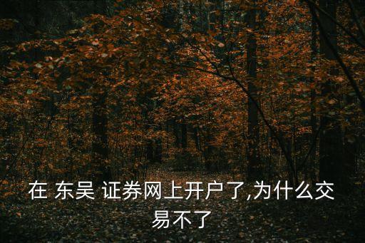 在 東吳 證券網(wǎng)上開(kāi)戶了,為什么交易不了