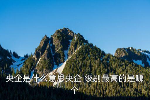 中國(guó)華電集團(tuán)公司級(jí)別,四川華電集團(tuán)公司領(lǐng)導(dǎo)班子