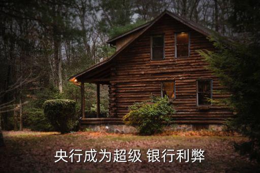 央行成為超級(jí) 銀行利弊