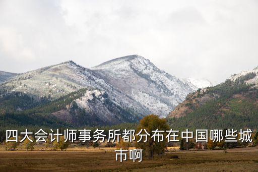 四大會計(jì)師事務(wù)所都分布在中國哪些城市啊
