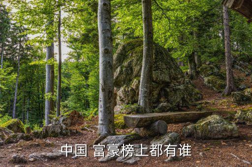 中國(guó) 富豪榜上都有誰