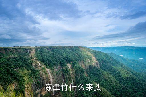 陳津竹什么來(lái)頭