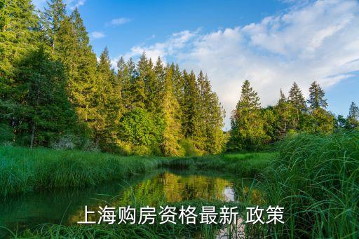 2015年上海買房新政策出臺
