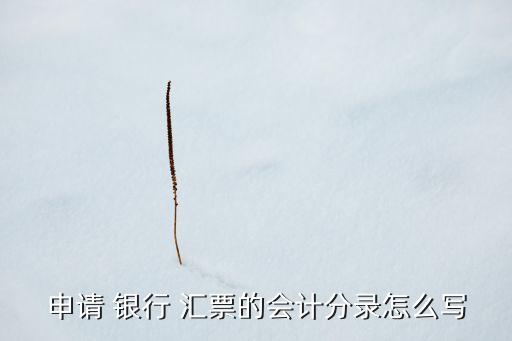 申請(qǐng) 銀行 匯票的會(huì)計(jì)分錄怎么寫(xiě)