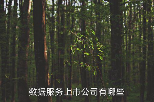 數(shù)據(jù)服務上市公司有哪些