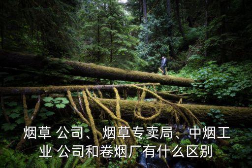  煙草 公司、 煙草專賣局、中煙工業(yè) 公司和卷煙廠有什么區(qū)別