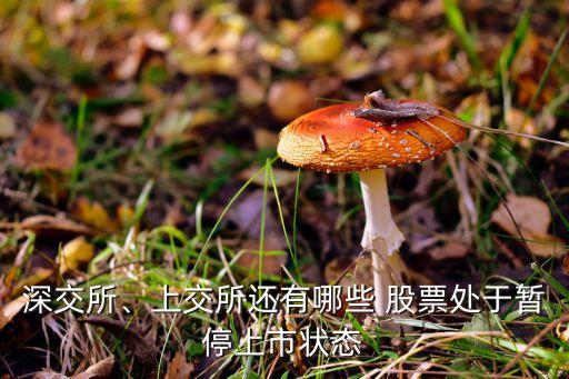 深交所、上交所還有哪些 股票處于暫停上市狀態(tài)