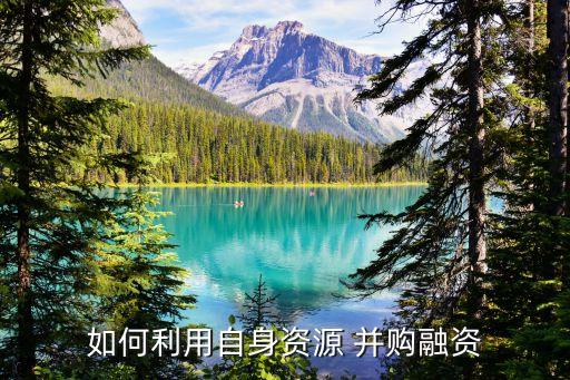 并購(gòu)基金模式ppt,上市公司并購(gòu)基金