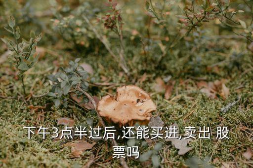 下午3點(diǎn)半過(guò)后,還能買進(jìn),賣出 股票嗎