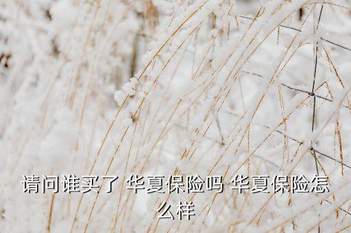 請問誰買了 華夏保險嗎 華夏保險怎么樣
